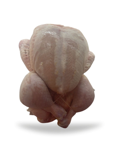 Poulet de maïs 1,4 kg