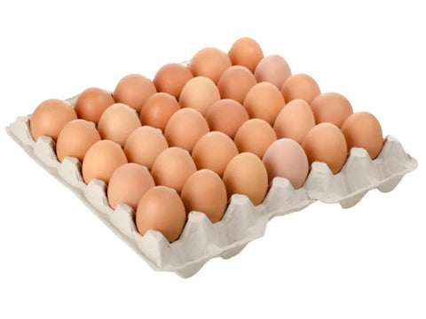 oeuf plateau 30 pieces