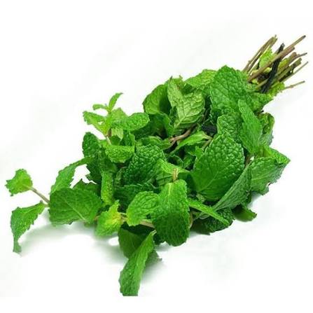 menthe bouquet pieces